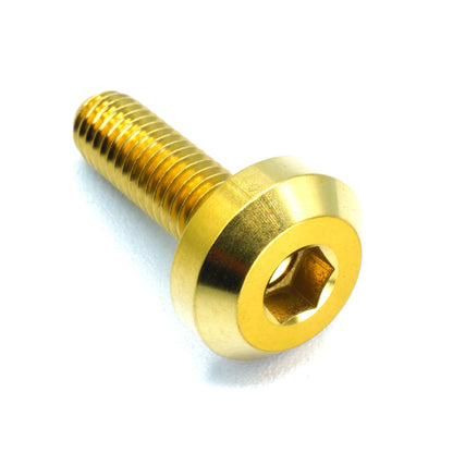 M6 x 1.00 x 20mm Titanium Motor Head Bolt