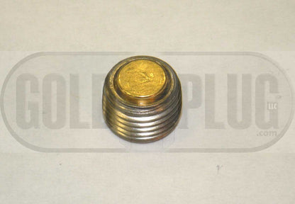 IP01 1/8" NPT Industrial GoldPlug Magnetic Drain Plug Internal Head