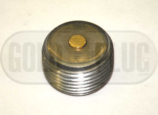 IP06 3/4" NPT Industrial GoldPlug Magnetic Drain Plug Internal Head