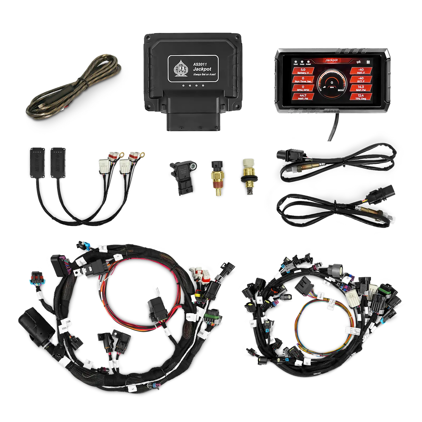 Jackpot 2 HEMI EFI System