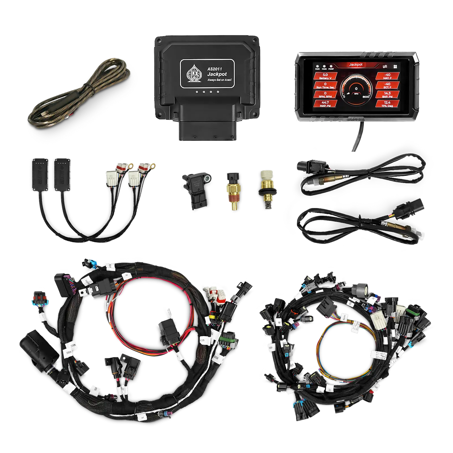 Jackpot 2 HEMI EFI System