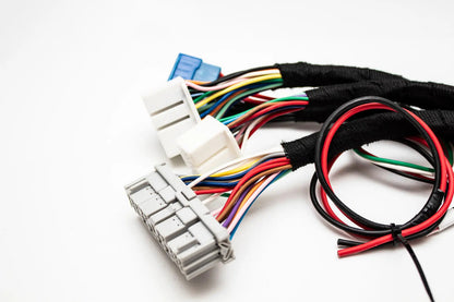 K20 K24 K-Series Tucked Swap Engine Harness V3 RHD, RWD and LHD | Acura | Honda |