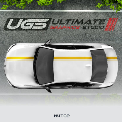 BMW - Top 2 Dual Thin Stripes Graphics