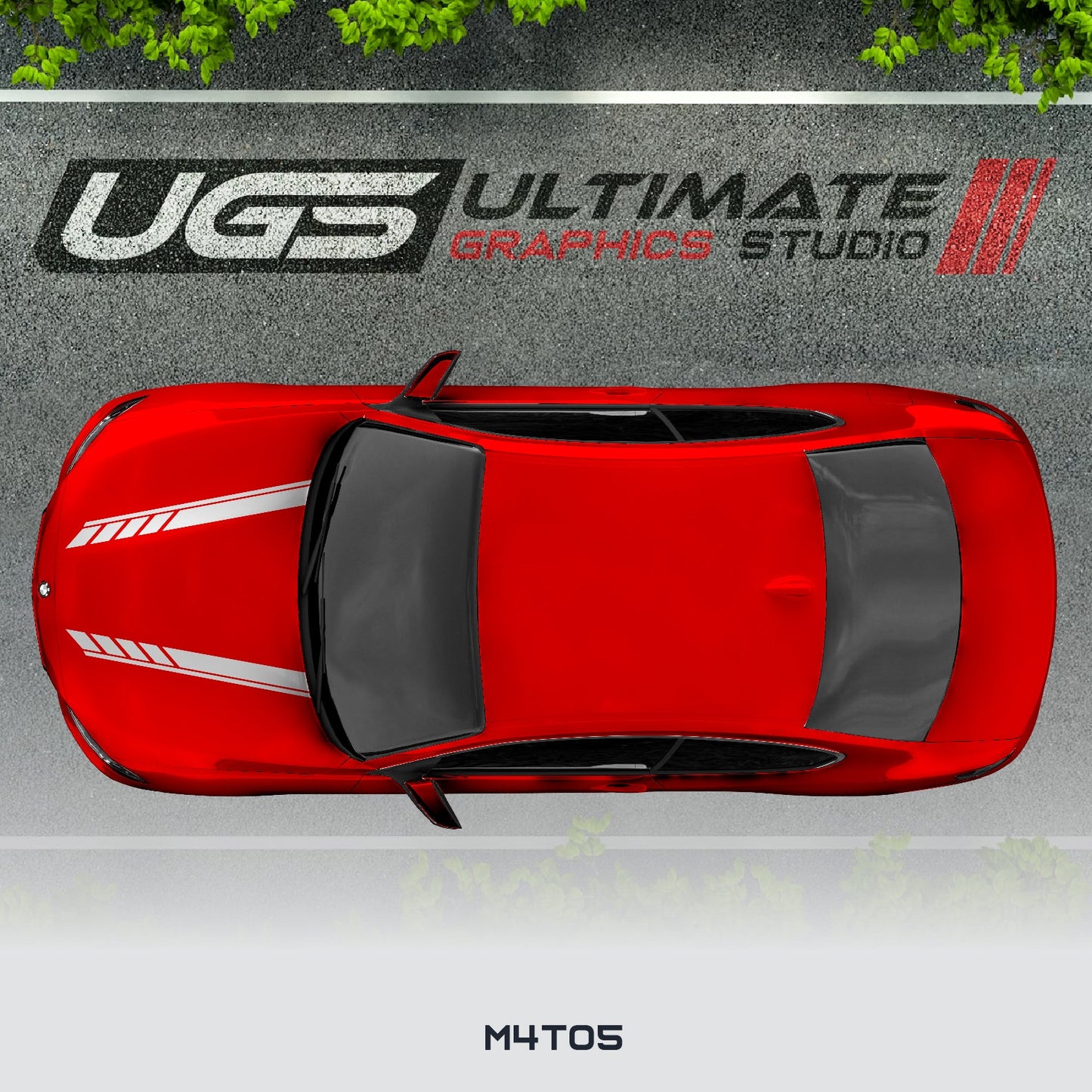 BMW Hood Racing Graphics