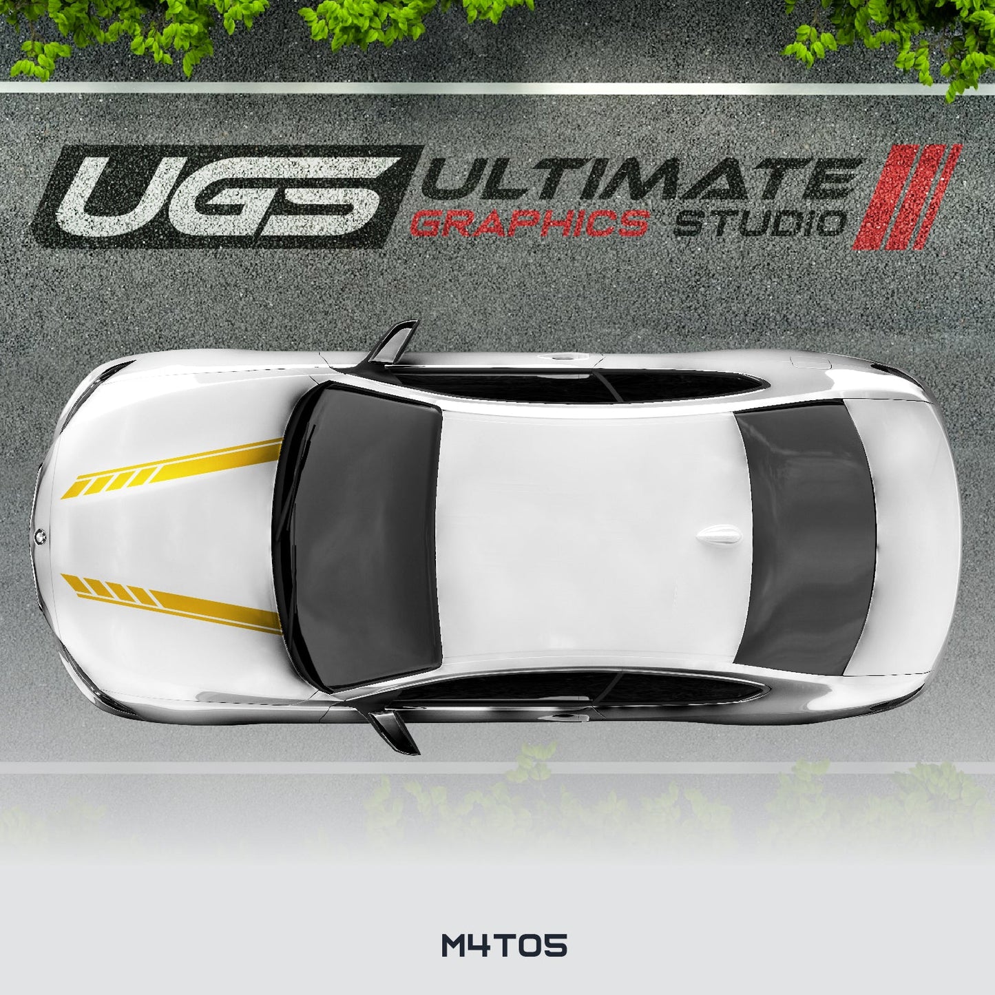 BMW Hood Racing Graphics