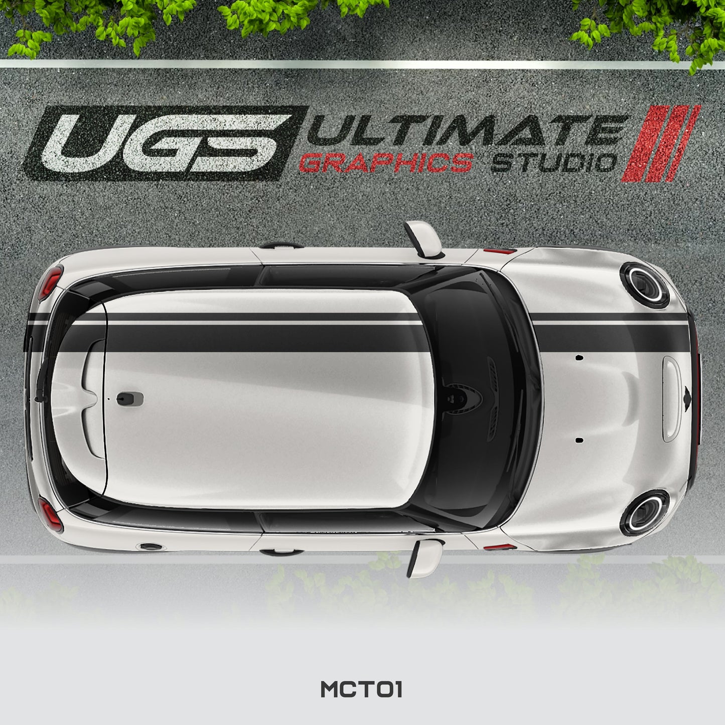 Mini Cooper Top Dual Stripe 1 Color