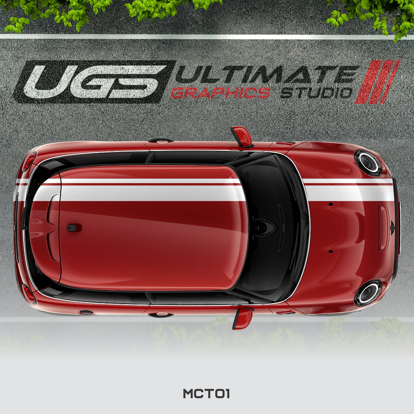 Mini Cooper Top Dual Stripe 1 Color