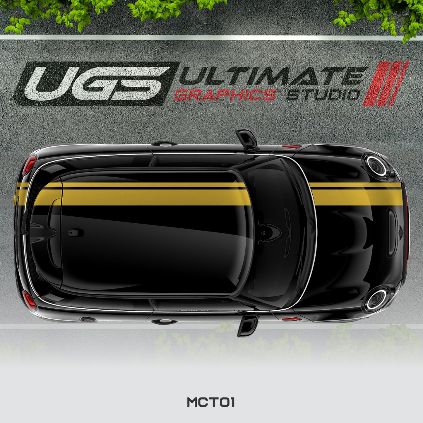Mini Cooper Top Dual Stripe 1 Color