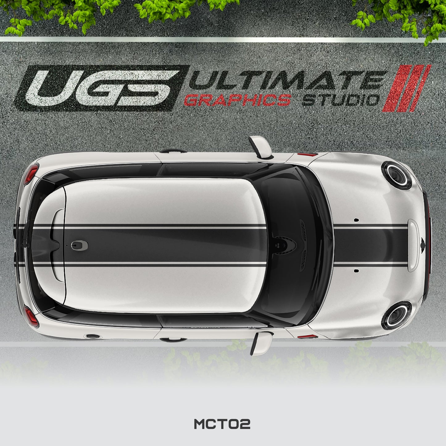 Mini Cooper Top Dual Stripe 1 Color
