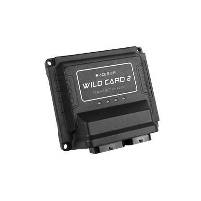 Wild Card 2 EFI - Top End Kits