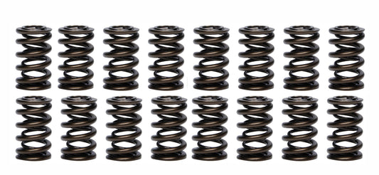 PAC-1203 PAC RACING SPRINGS