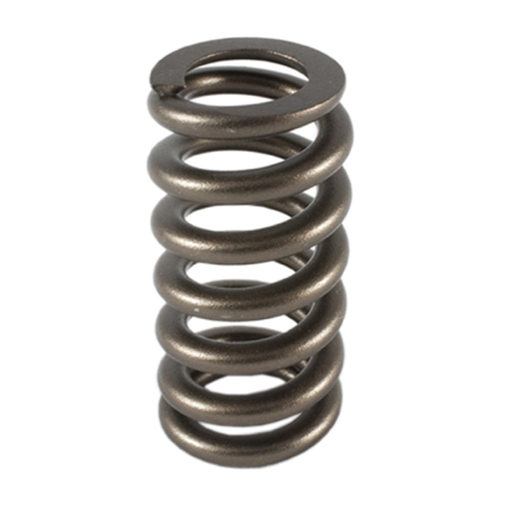 PAC-1233-1 PAC RACING SPRINGS