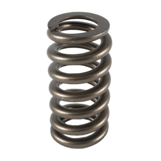 PAC-1233-1 PAC RACING SPRINGS