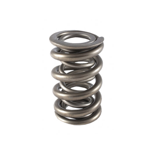 PAC-1329-1 PAC RACING SPRINGS