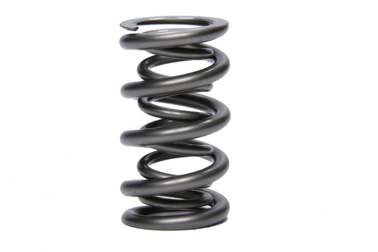 PAC-1356 PAC RACING SPRINGS