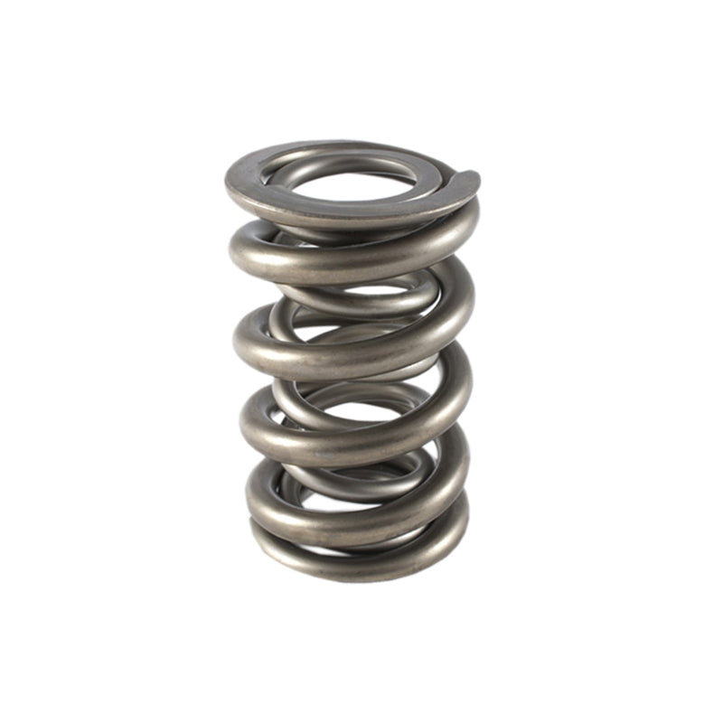 PAC-1361H PAC RACING SPRINGS