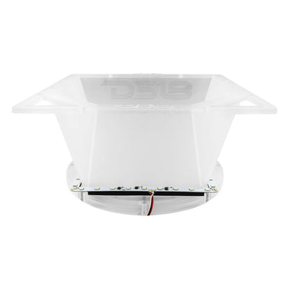 10" Loudspeaker Horn Diffuser Horn with RGB Lights