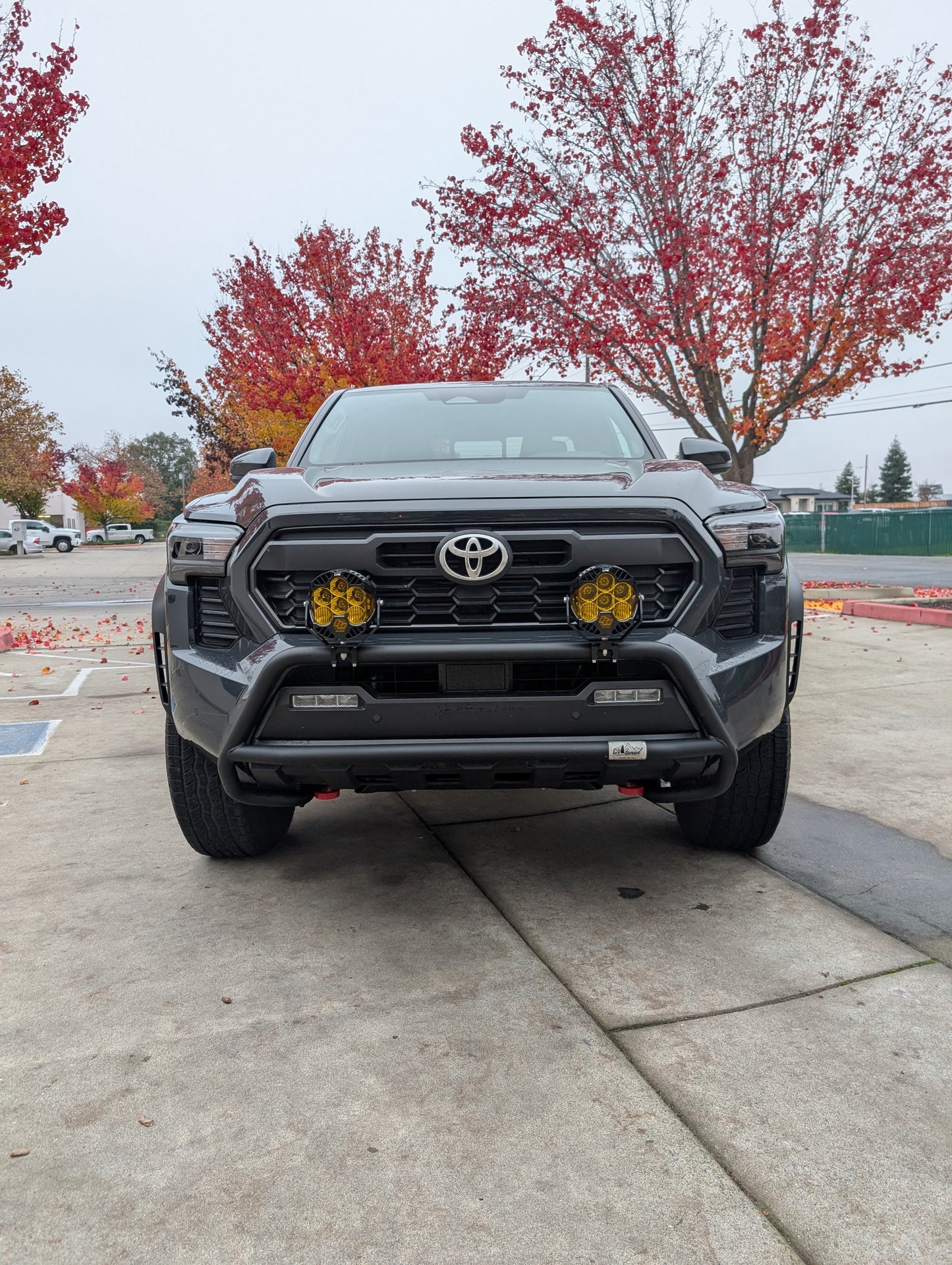 CAtuned Off-Road Toyota Tacoma Brush Bar