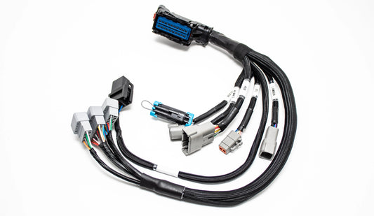 Plug & Play Jumper Harness for AEM Infinity 506 508 6 8H ECUs |  30-3501