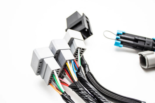 Plug & Play Jumper Harness for AEM Infinity 506 508 6 8H ECUs |  30-3501