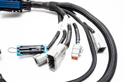 Plug & Play Jumper Harness for AEM Infinity 506 508 6 8H ECUs |  30-3501