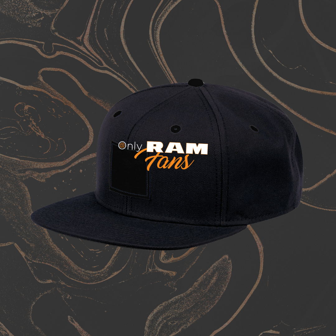 Hat - Snapback