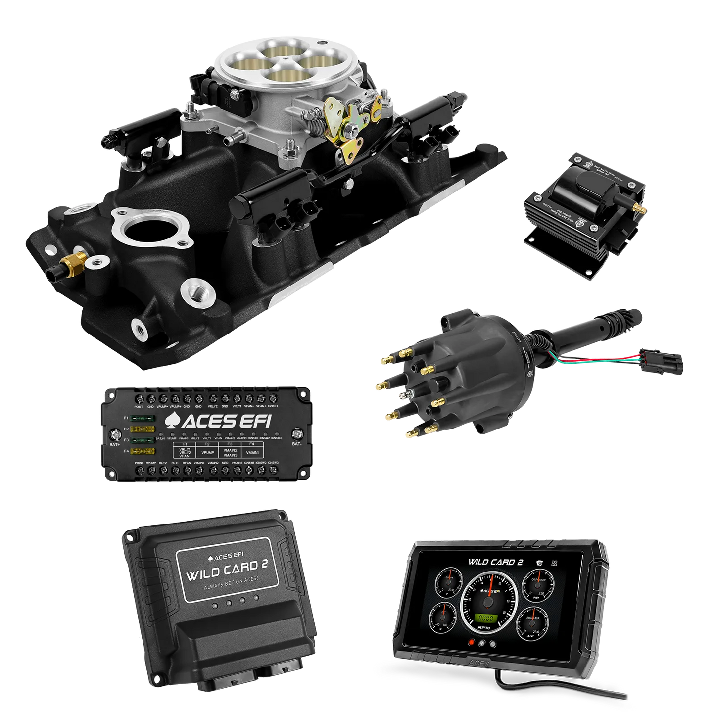 Wild Card 2 EFI - Top End Kits