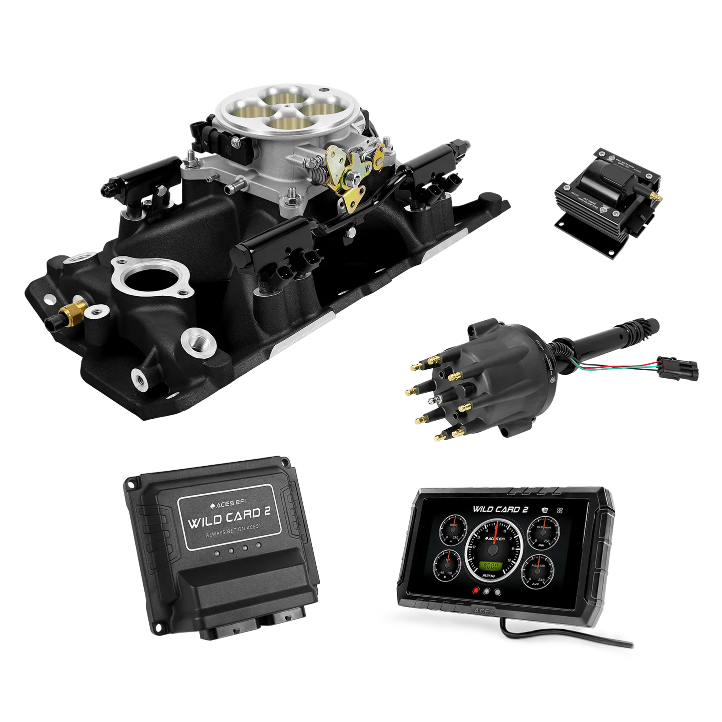 Wild Card 2 EFI - Top End Kits