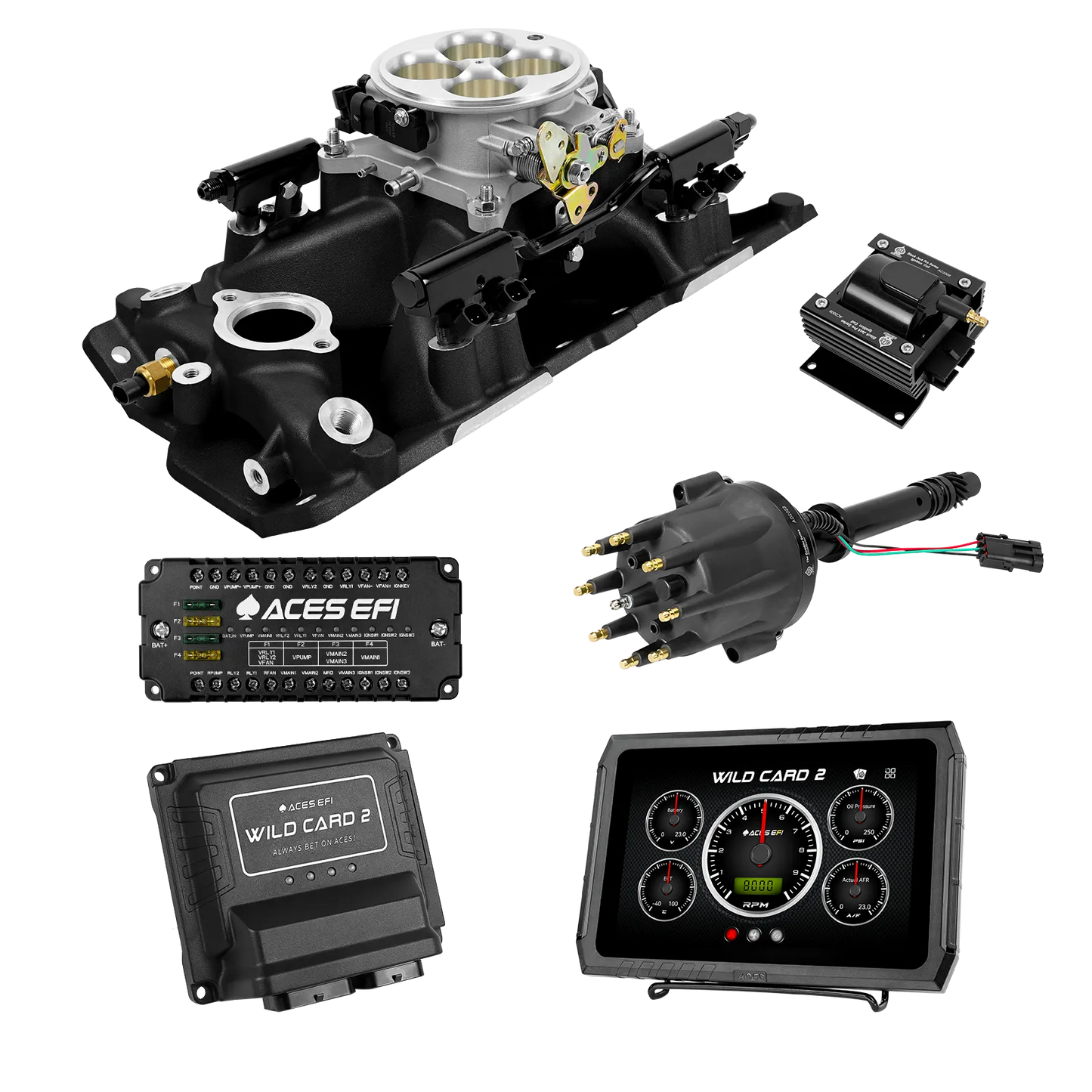 Wild Card 2 EFI - Top End Kits