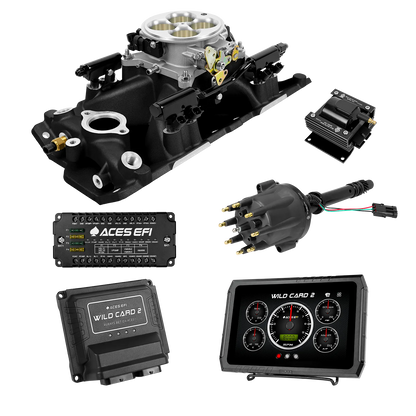 Wild Card 2 EFI - Top End Kits