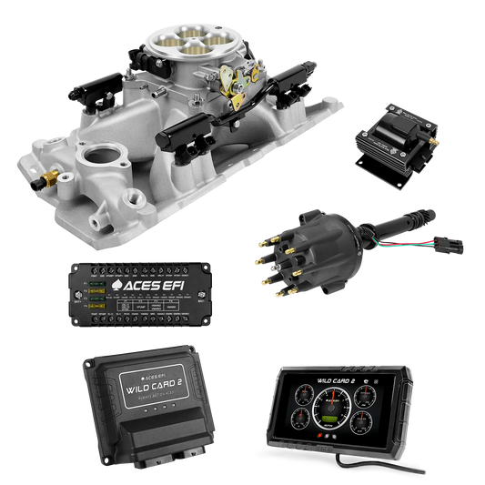 Wild Card 2 EFI - Top End Kits