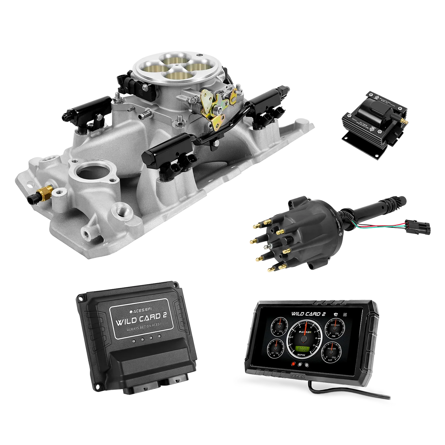 Wild Card 2 EFI - Top End Kits