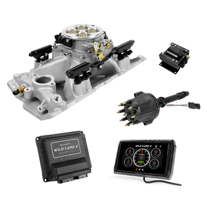 Wild Card 2 EFI - Top End Kits