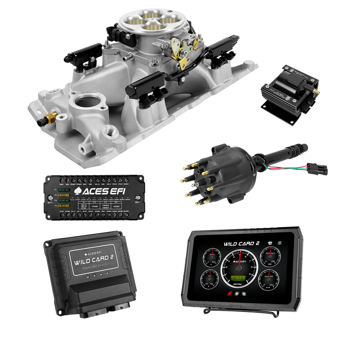 Wild Card 2 EFI - Top End Kits
