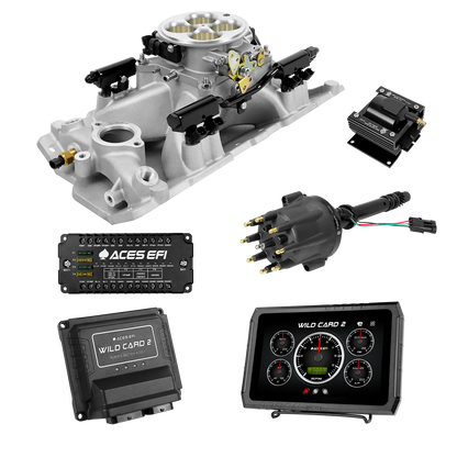 Wild Card 2 EFI - Top End Kits