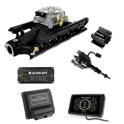 Wild Card 2 EFI - Top End Kits