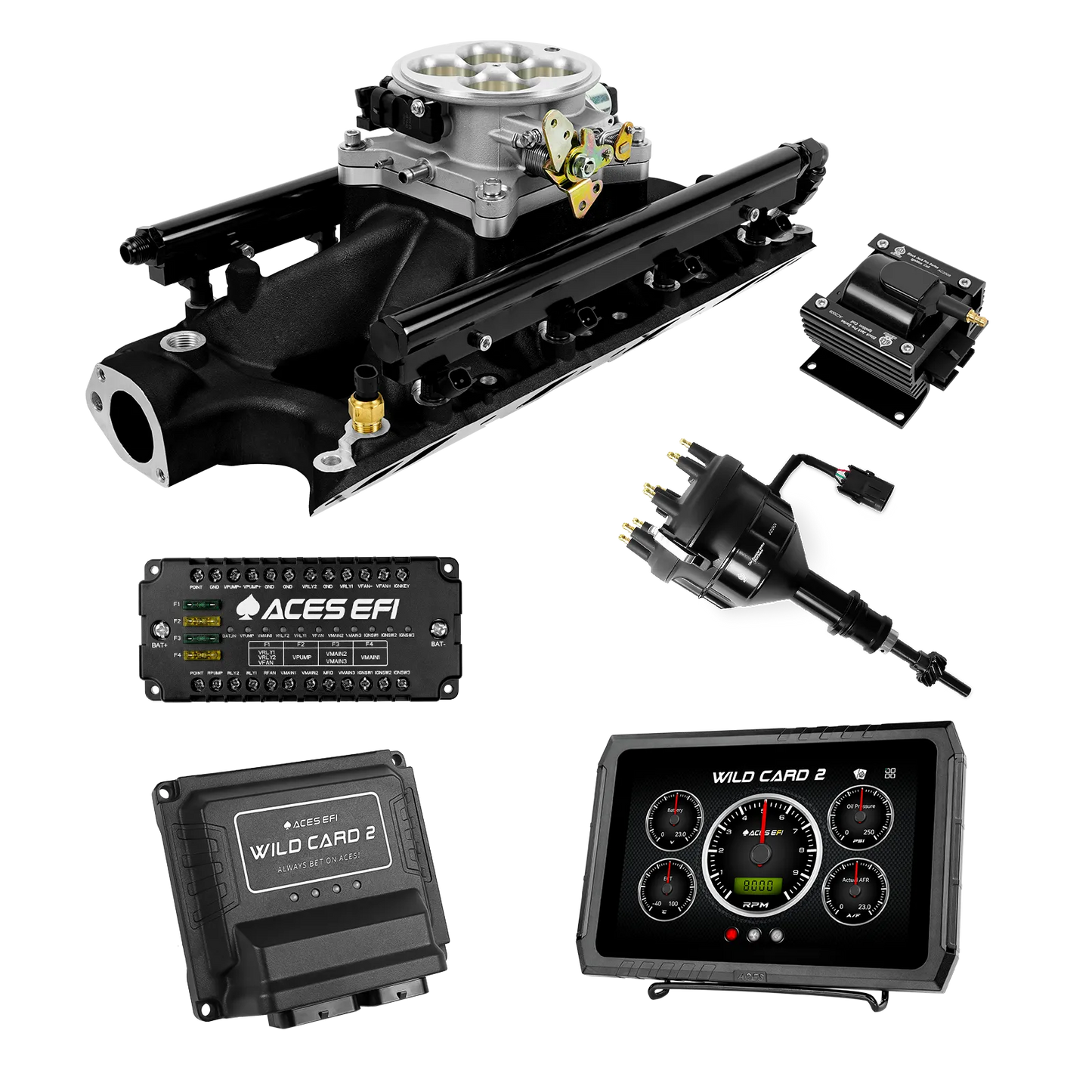 Wild Card 2 EFI - Top End Kits