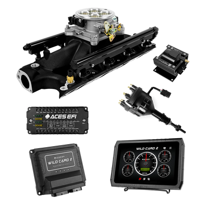 Wild Card 2 EFI - Top End Kits