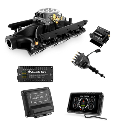 Wild Card 2 EFI - Top End Kits