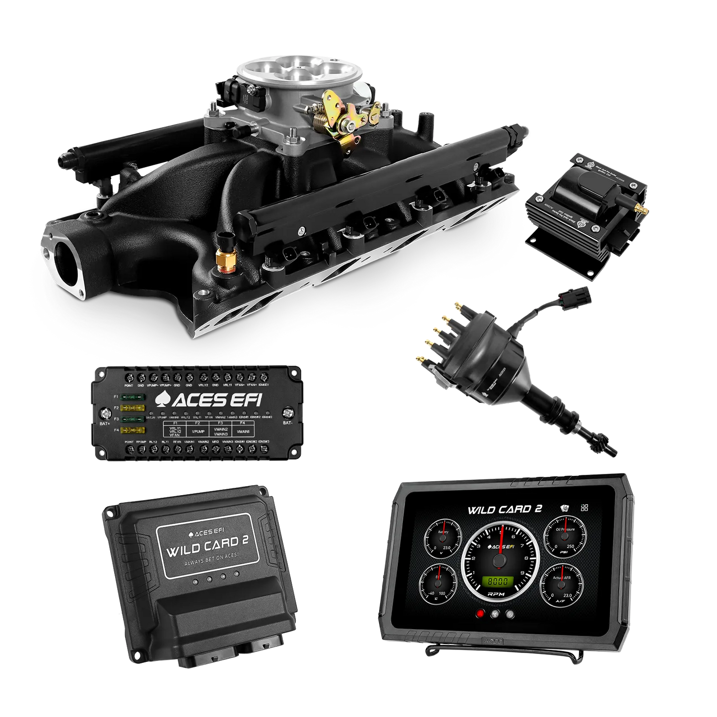 Wild Card 2 EFI - Top End Kits