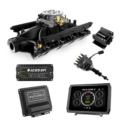 Wild Card 2 EFI - Top End Kits