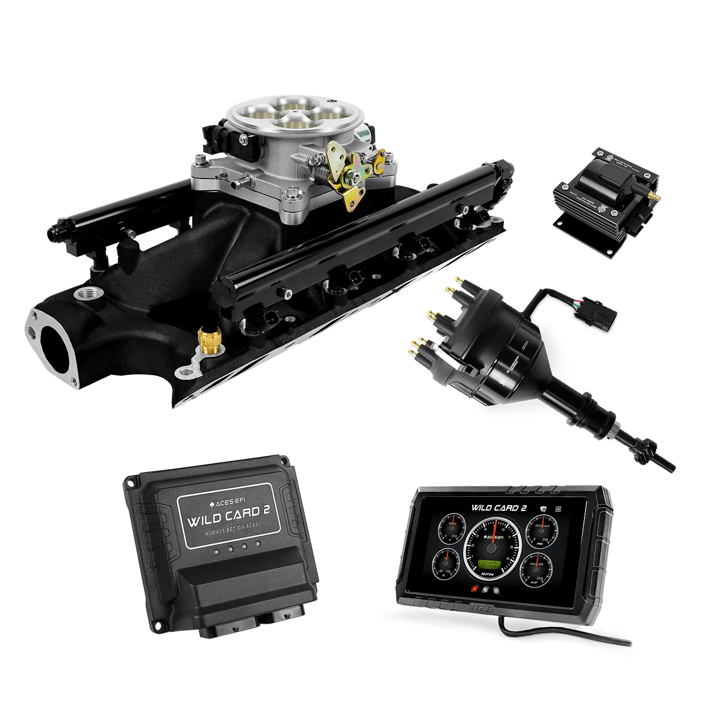Wild Card 2 EFI - Top End Kits