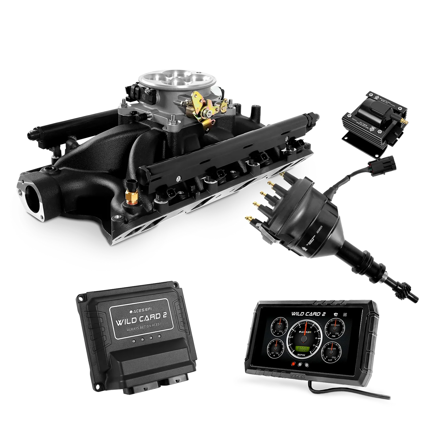 Wild Card 2 EFI - Top End Kits