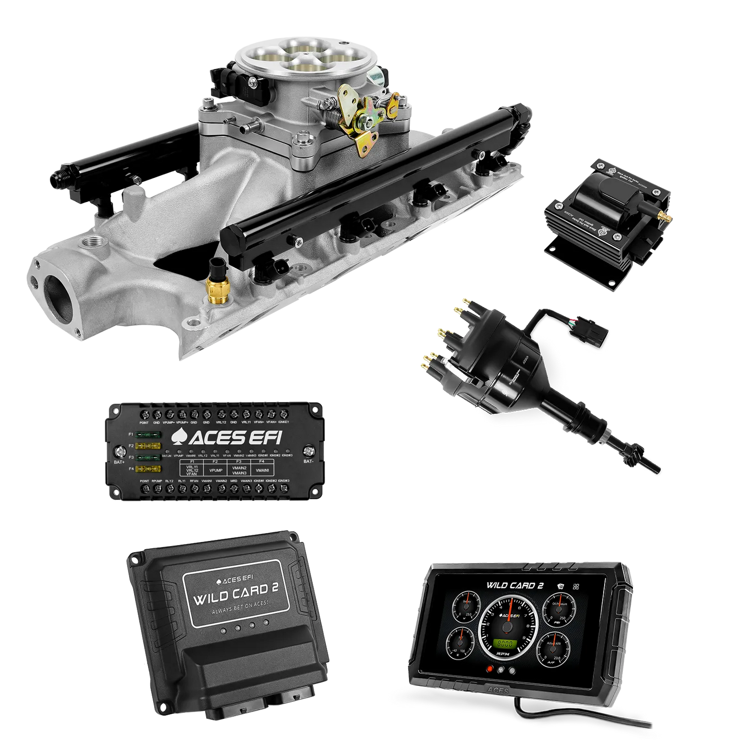 Wild Card 2 EFI - Top End Kits