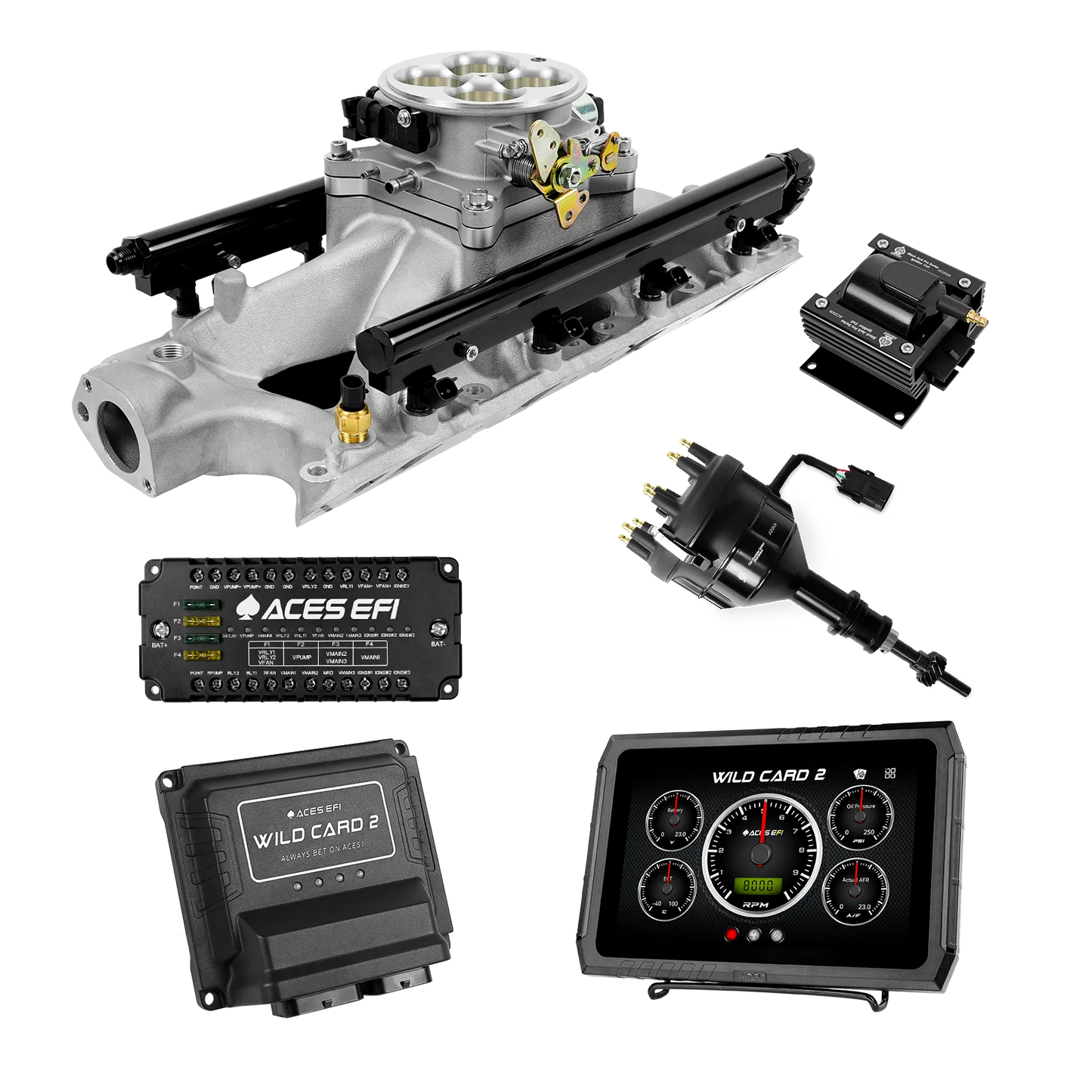 Wild Card 2 EFI - Top End Kits