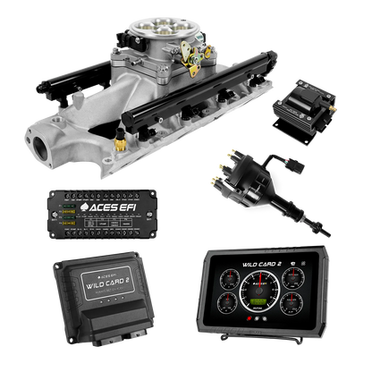 Wild Card 2 EFI - Top End Kits