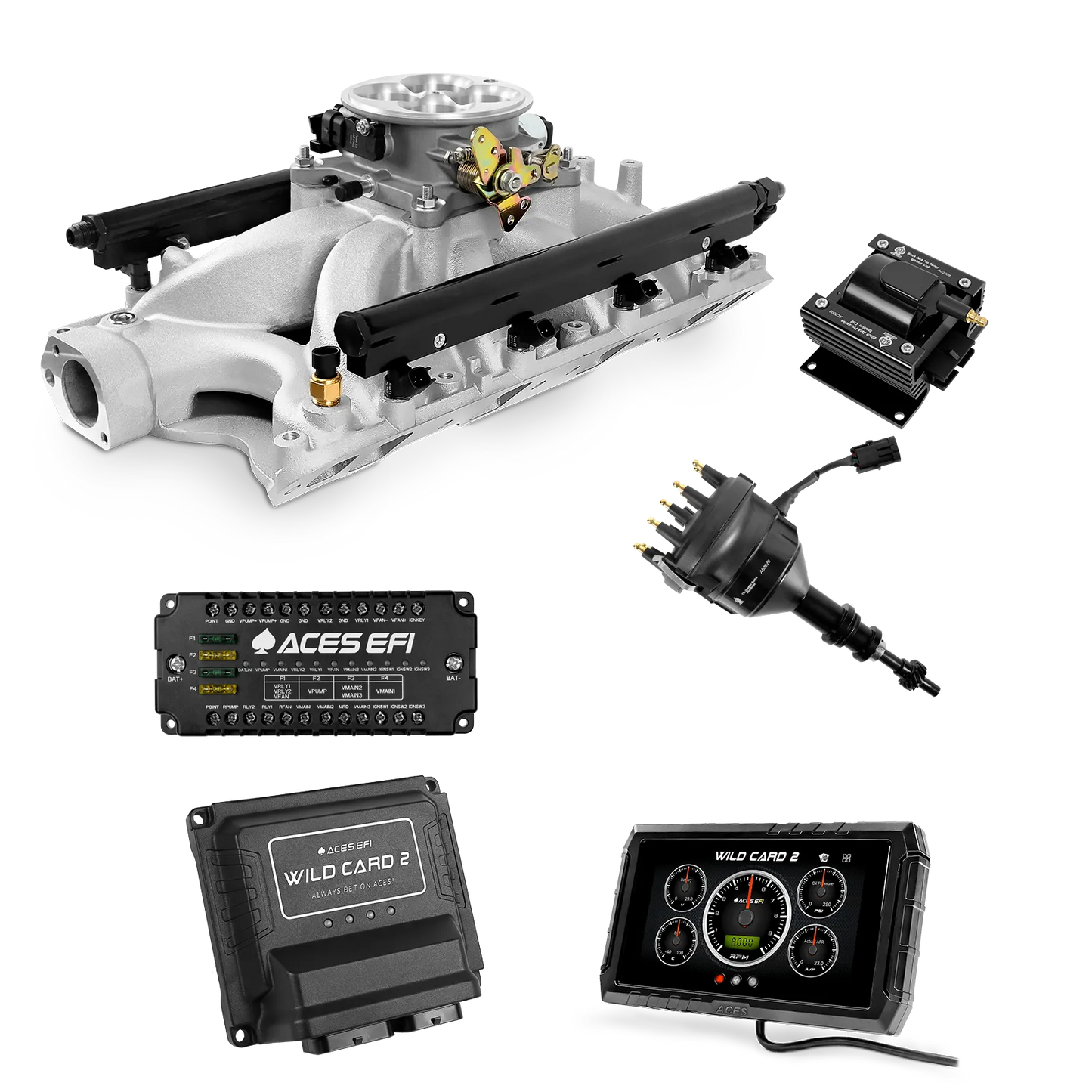 Wild Card 2 EFI - Top End Kits