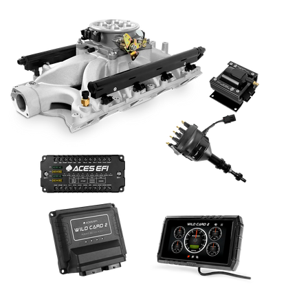 Wild Card 2 EFI - Top End Kits