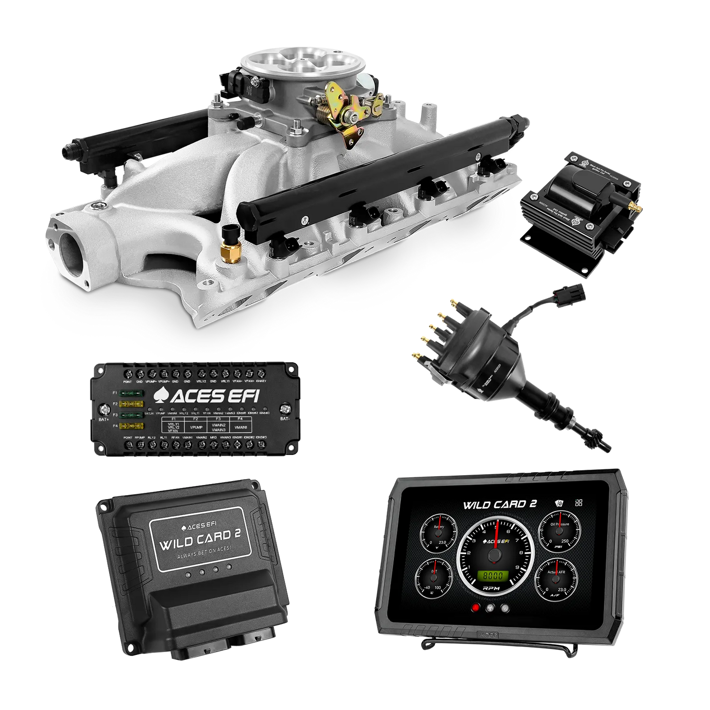 Wild Card 2 EFI - Top End Kits