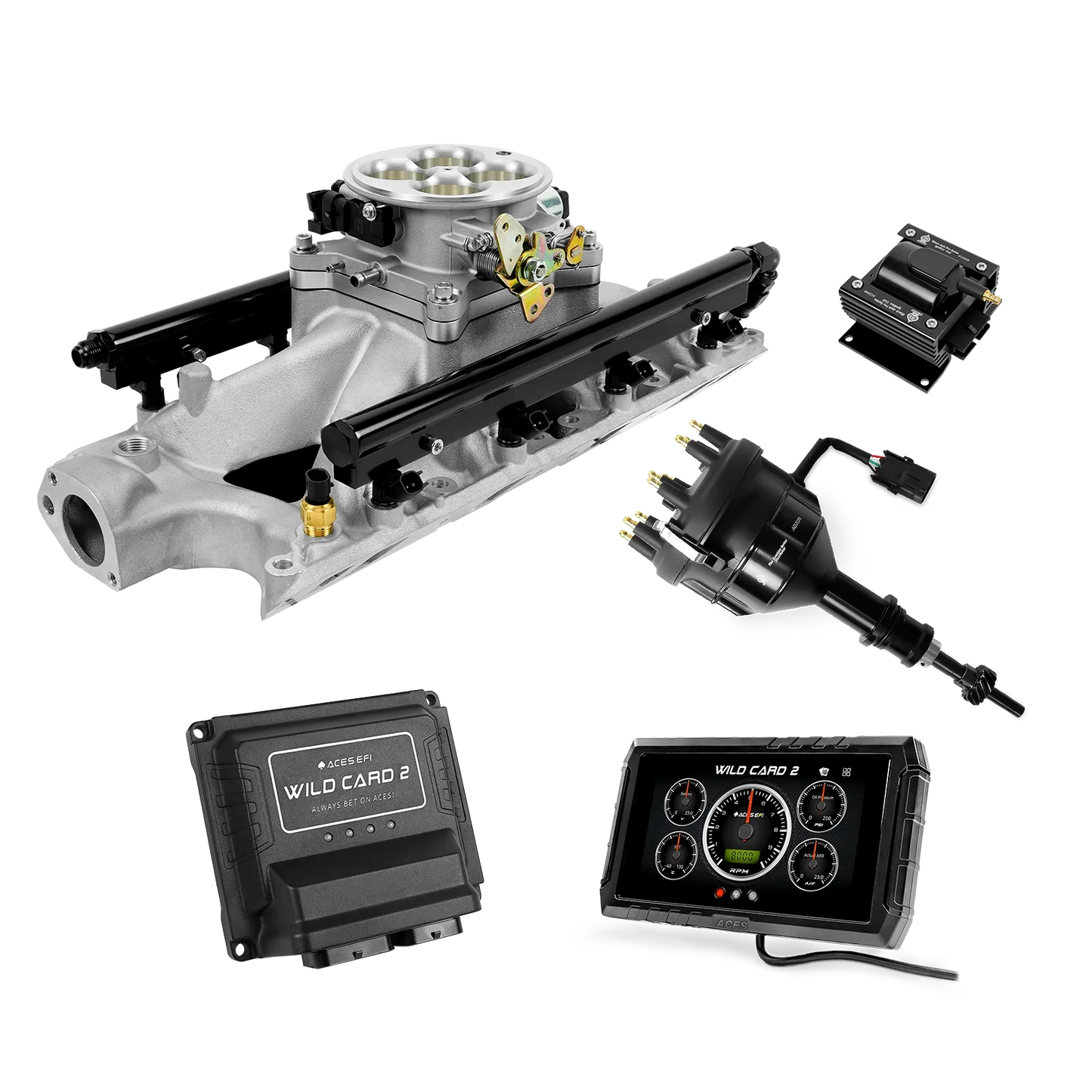 Wild Card 2 EFI - Top End Kits